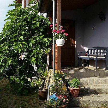 アルトルスハイムUrlaub Im Elsassアパートメント エクステリア 写真